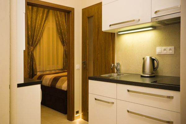 Hotel Apartment Karla Capka Street (Karlovy Vary)